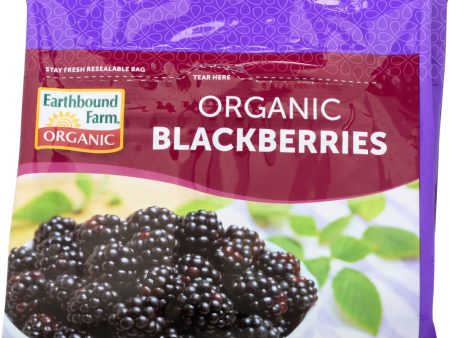 EARTHBOUND FARM: Organic Frozen Blackberries, 10 oz For Discount