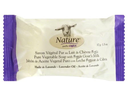 CANUS: Lavender Soap Bar, 1.3 oz Hot on Sale