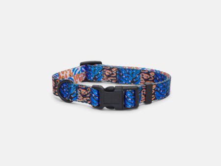 Animal Pet Collar Sml Online now