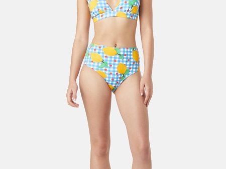 Picnic Bikini Bottom Discount