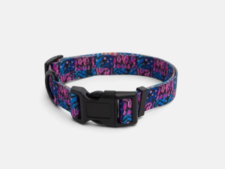 Animal Pet Collar Lge Sale