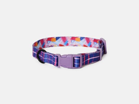 Reflection Dog Collar Medium on Sale