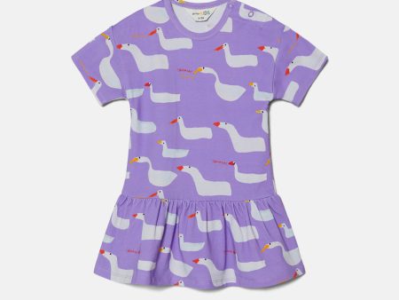 Duck Duck Goose Baby Dress For Cheap